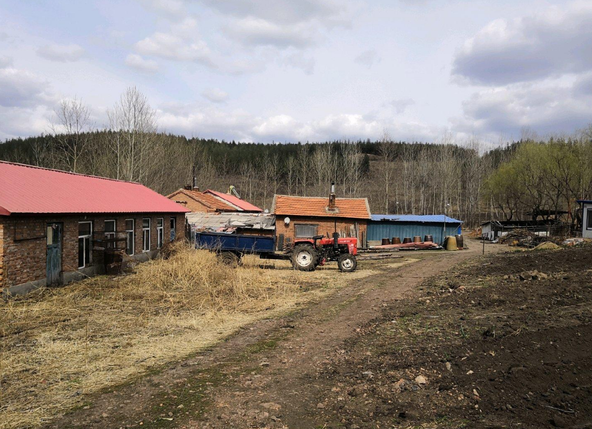 (转让) 黑龙江鸡西市恒山区小恒山 土地 27000平米